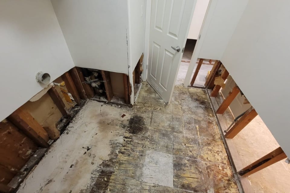 Water Damage Restoration and Mold Remediation in House