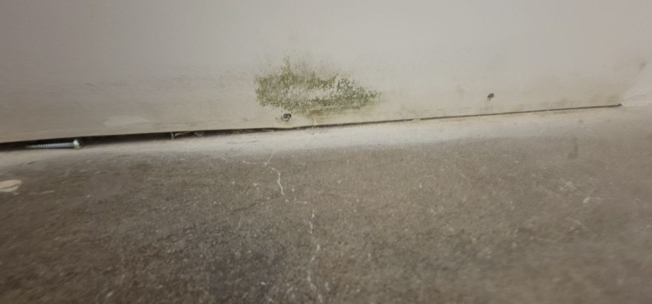 Mold Causes in Homes Explained